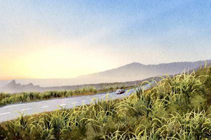 农历二〇二八年七月初二黄历不适宜提车吗,提车好日子查询