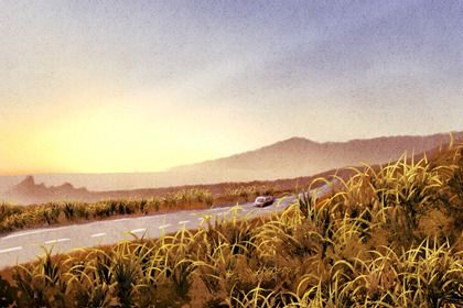 2029年10月01日不适宜提车吗,提车吉日查询