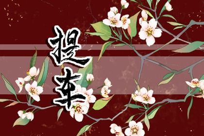 2038年12月09日不适宜提新车吗,这天提车合适吗