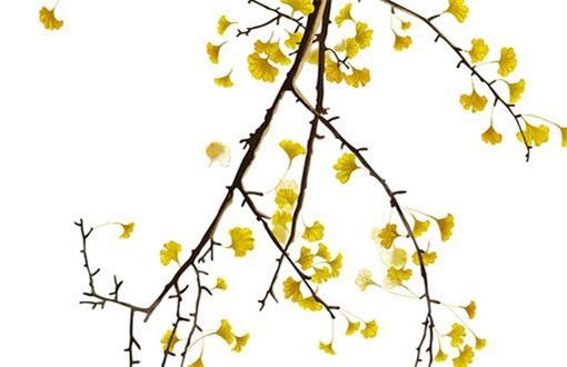 今日2028年10月28日装潢老黄历不适宜吗,农历二〇二八年九月十一装修日子